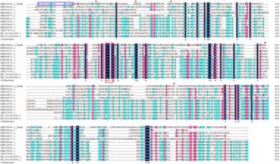 Characterization and Secretory Expression of a Thermostable Tannase from Aureobasidium melanogenum T9: Potential Candidate for Food and Agricultural Industries